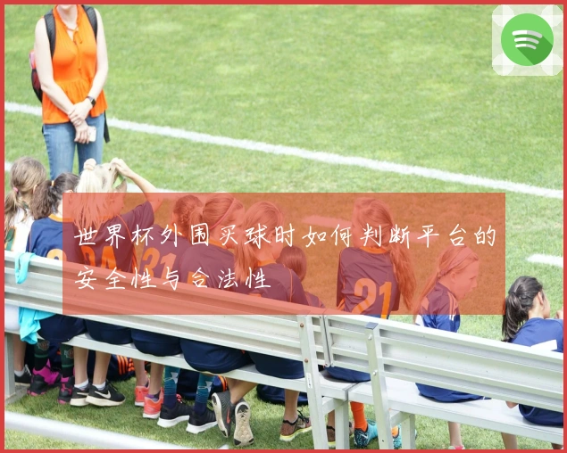 世界杯外围买球时如何判断平台的安全性与合法性
