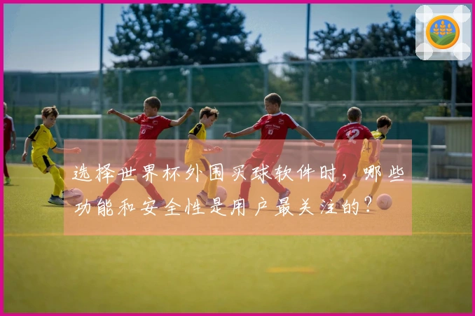 选择世界杯外围买球软件时，哪些功能和安全性是用户最关注的？